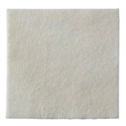 BIATAIN ALGINATE 10X10